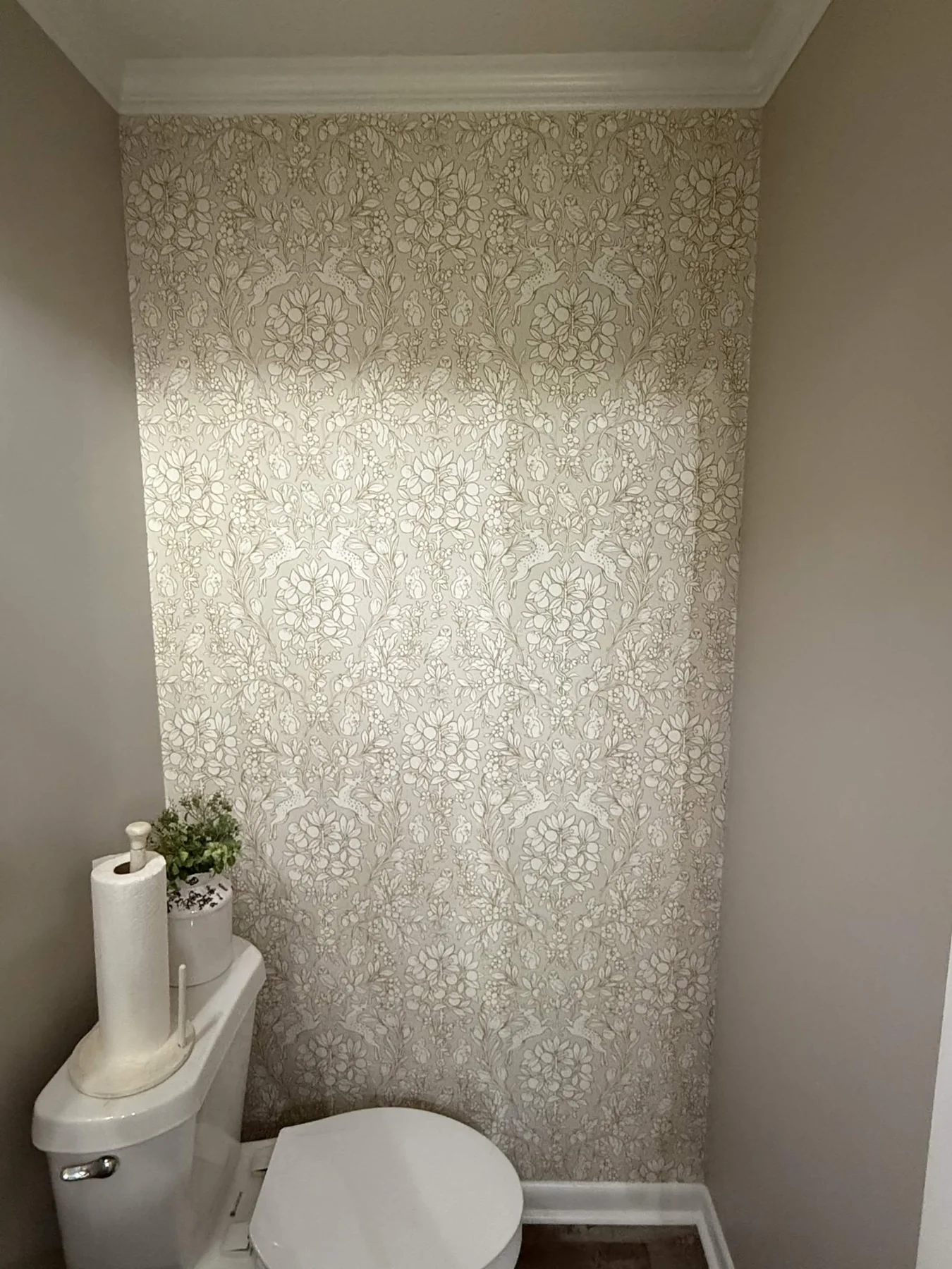 Wallpaper feature wall in bathroom